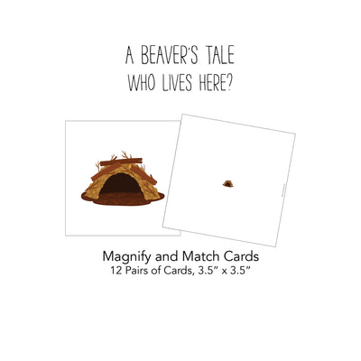 A Beaver’s Tale Card Pack 4