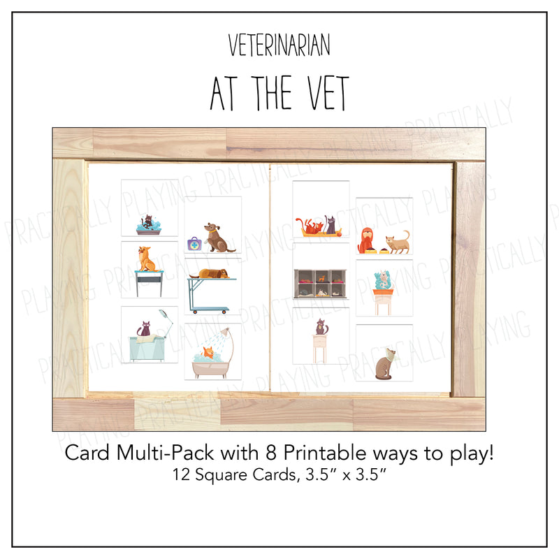 Vet Card Pack - At the Vet