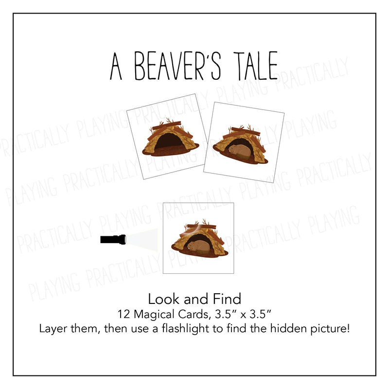 A Beaver&