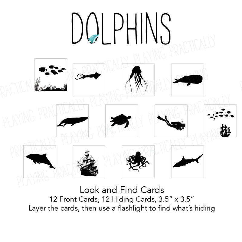 Dolphins Card Pack 4
