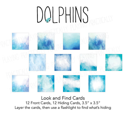 Dolphins Look and Find Cards