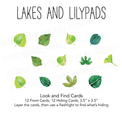 Bugs and Leaves Look and Find Cards