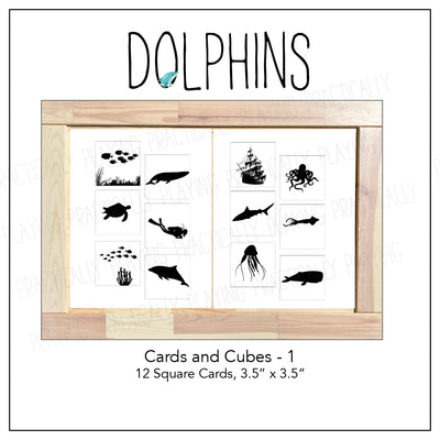 Dolphins Look and Find Cards