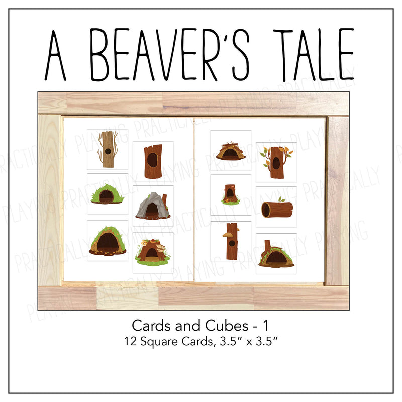 A Beaver&