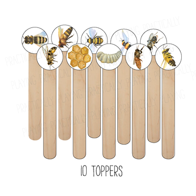 Bee Life Cycle Craft Stick Covers and Toppers