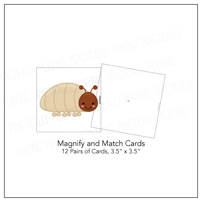 Cute Bugs Card Pack & Print and Fold Box