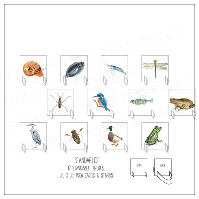 Ponds and Lakes Card Pack & Print and Fold Box