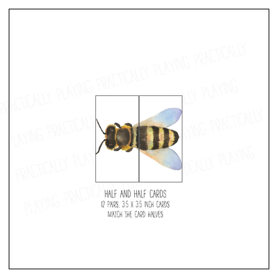 Bee Life Cycle Card Pack & Print and Fold Box