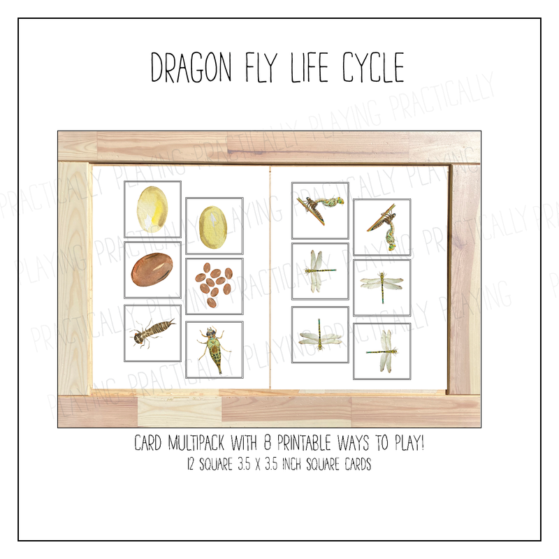 Dragonfly Life Cycle Card Pack & Print and Fold Box