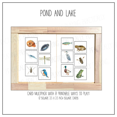 Ponds and Lakes Card Pack & Print and Fold Box