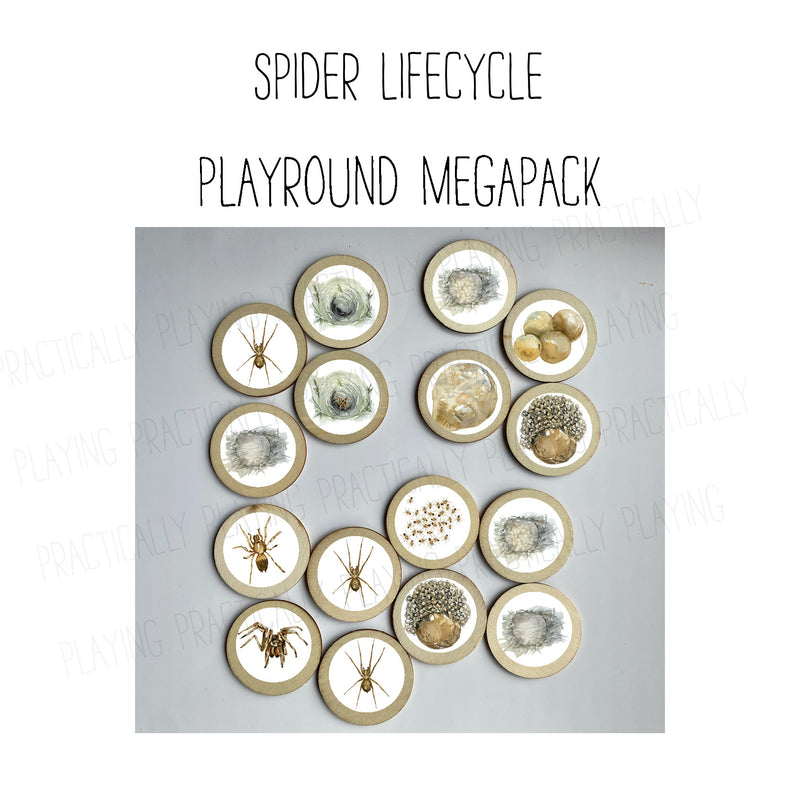 Spider Life Cycle PlayRound Mega Pack