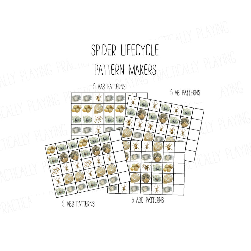 Spider Life Cycle PlayRound Mega Pack
