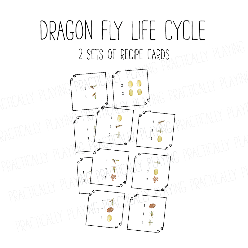 Dragonfly Life Cycle PlayRound Mega Pack