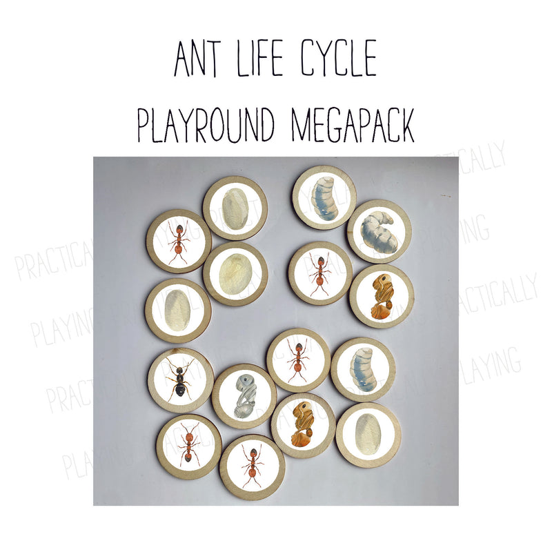 Ant Life Cycle PlayRound Mega Pack