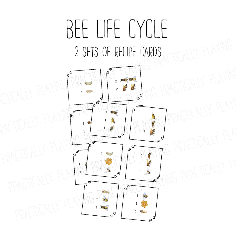 Bee Life Cycle PlayRound Mega Pack