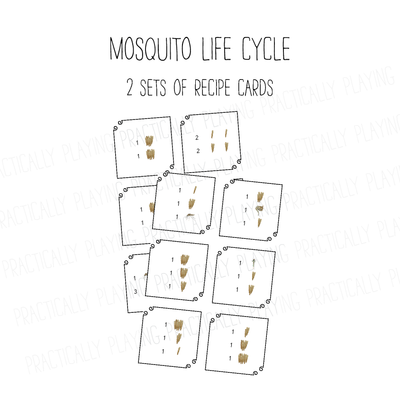 Mosquito Life Cycle PlayRound Mega Pack