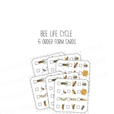 Bee Life Cycle PlayRound Mega Pack
