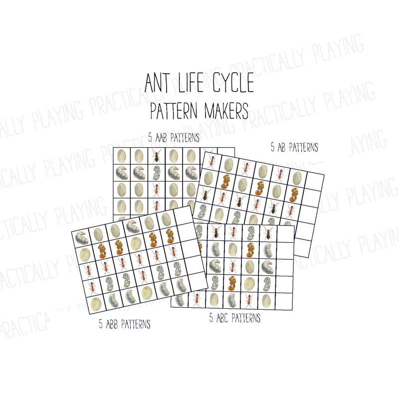 Ant Life Cycle PlayRound Mega Pack