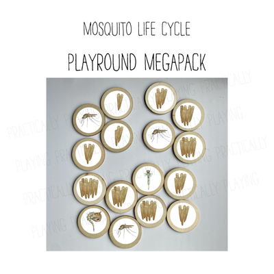 Mosquito Life Cycle PlayRound Mega Pack