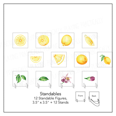 Lemonade Stand Card Pack & Print and Fold Box B
