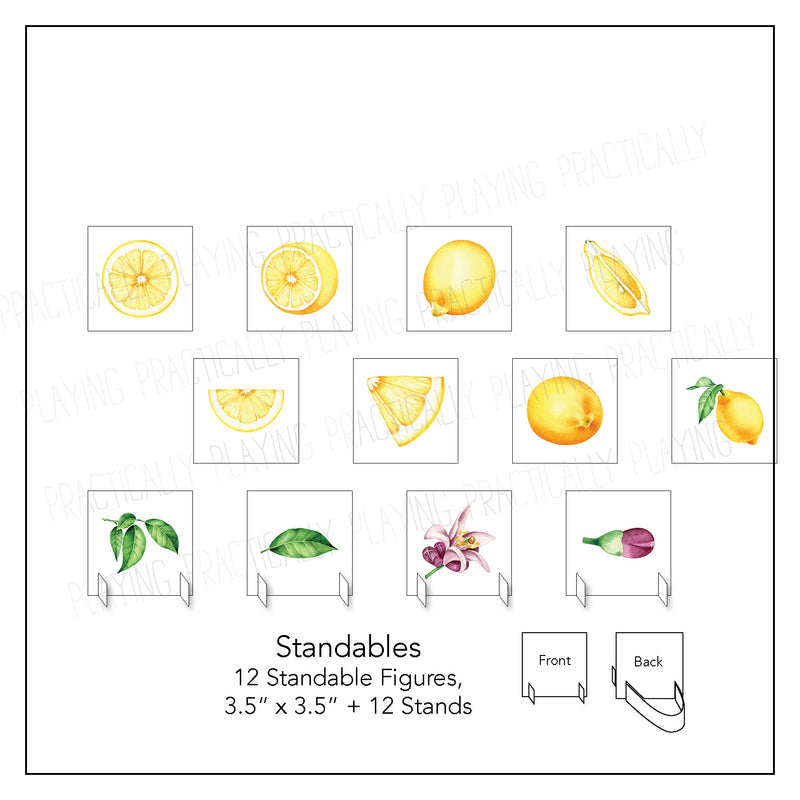 Lemonade Stand Card Pack & Print and Fold Box B