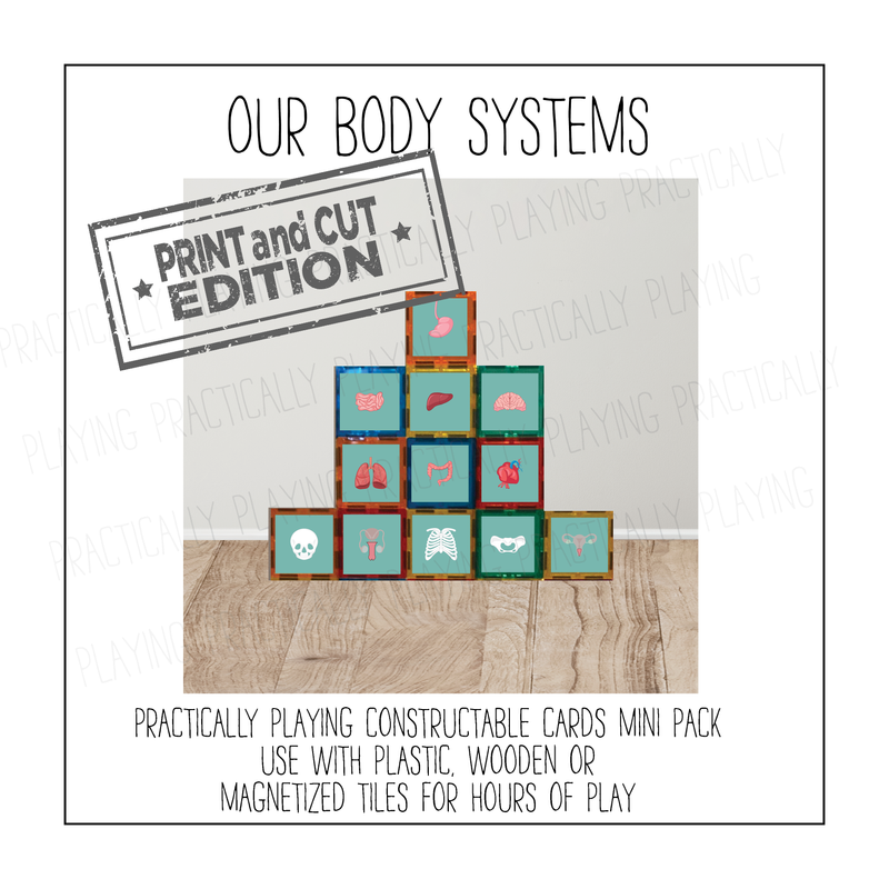 Our Body Systems Constructable Mini Pack - Cricut Print and Cut Compatible