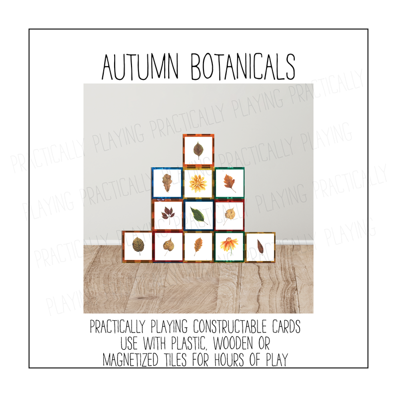Autumn Botanicals Constructable Mini Pack