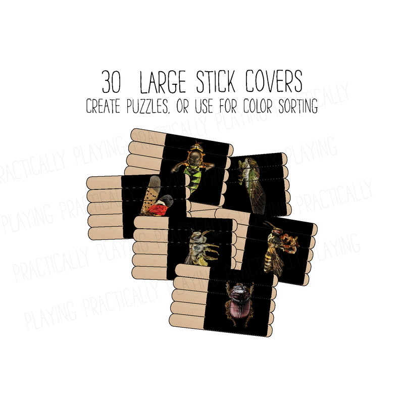Investigating Bugs Craft Stick Covers and Toppers