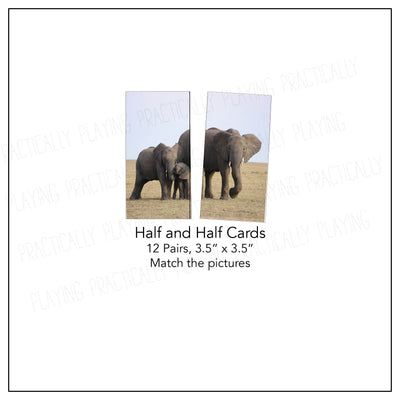 Elephants in Real Life Card Pack
