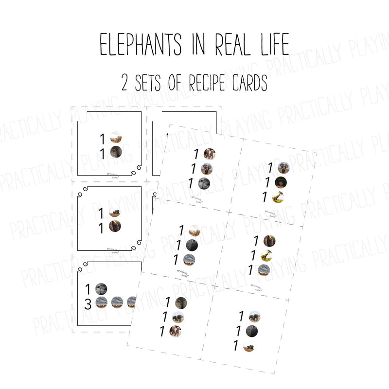 Elephants in Real Life PlayRound Mega Pack