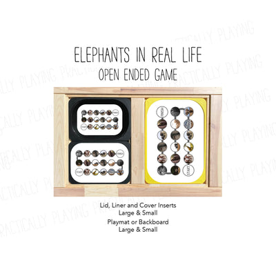 Elephants in Real Life PlayRound Mega Pack