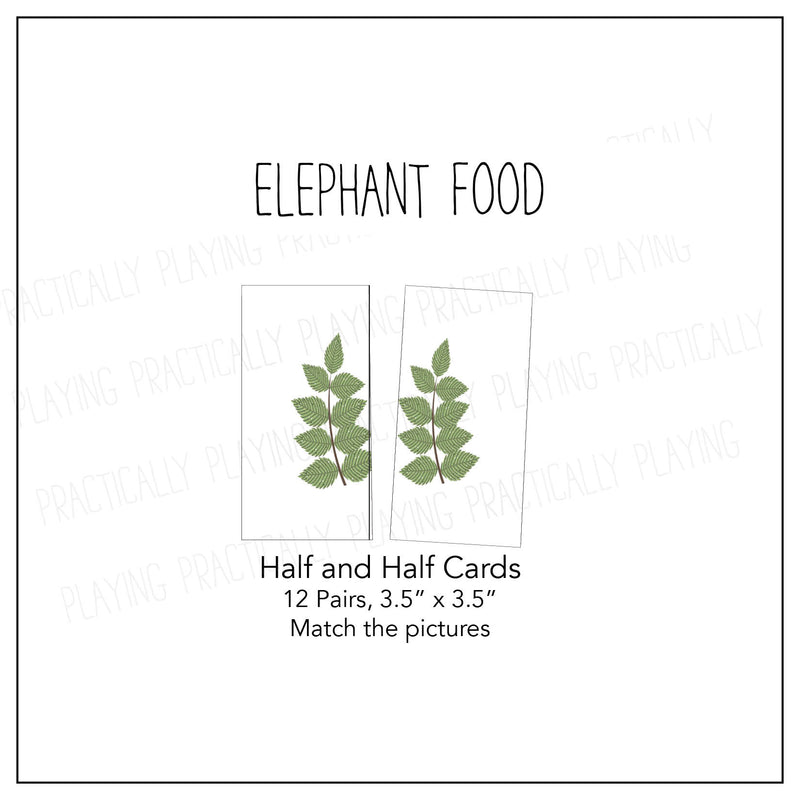 Elephant Food Card Pack