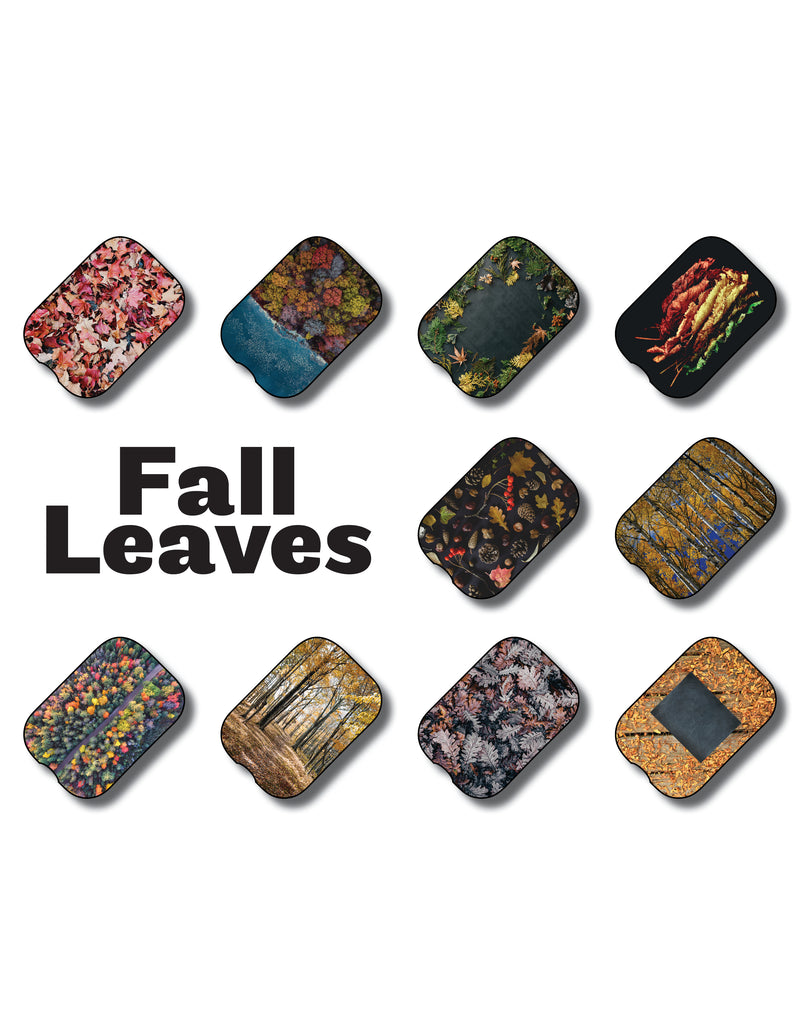 Fall Leaves Insert Pack