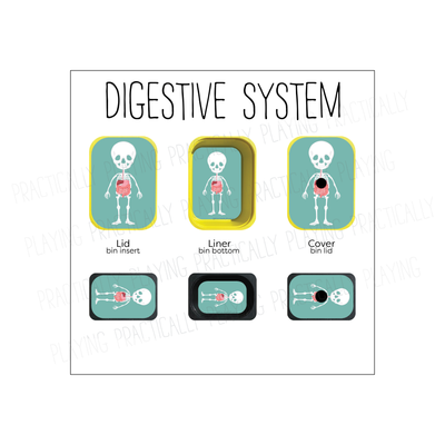 Our Body Systems Printable Insert Pack
