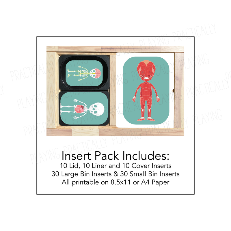 Our Body Systems Printable Insert Pack – Practically Playing