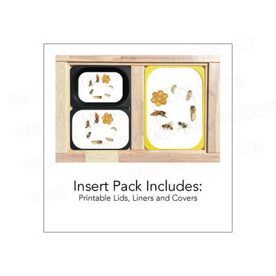Bee Life Cycle Printable Insert Pack