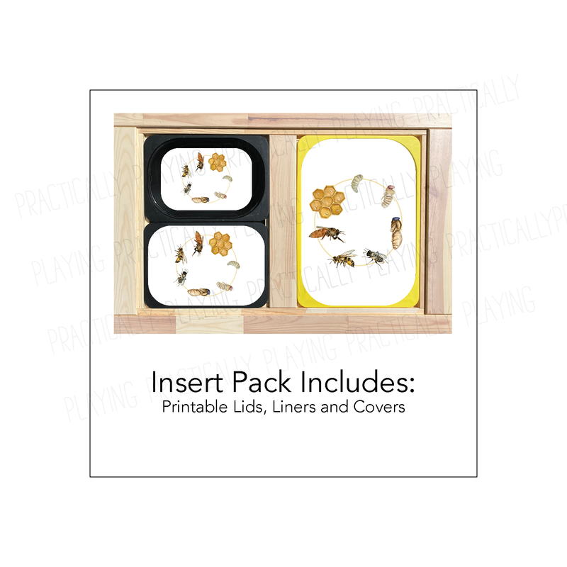Bee Life Cycle Printable Insert Pack