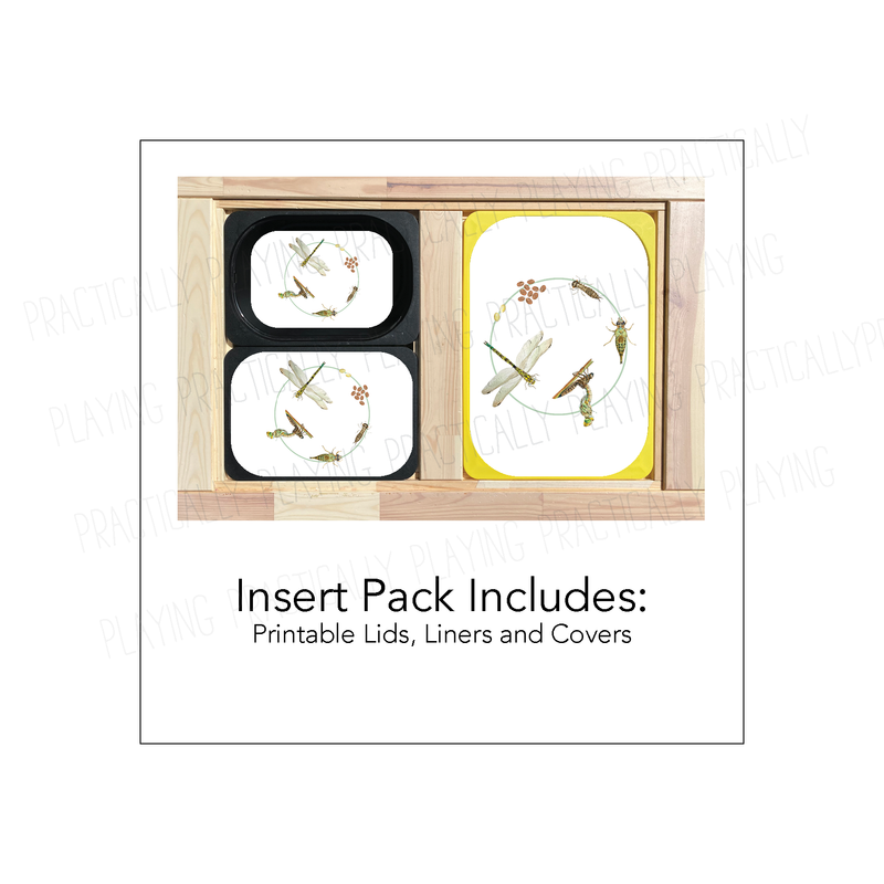 Dragonfly Life Cycle Printable Insert Pack
