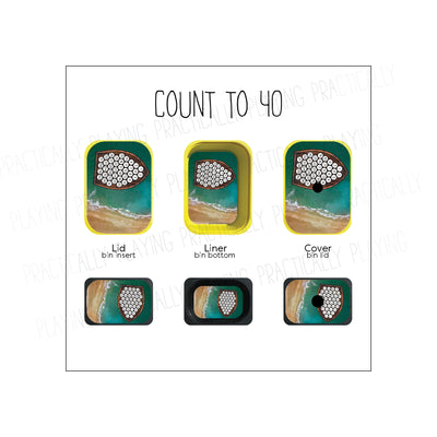 Count to 10, 20, 30, 40 or 50 Printable Insert Pack
