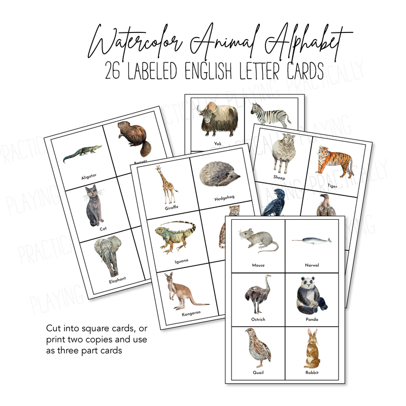 Watercolor Animal Alphabet Labeled Cards