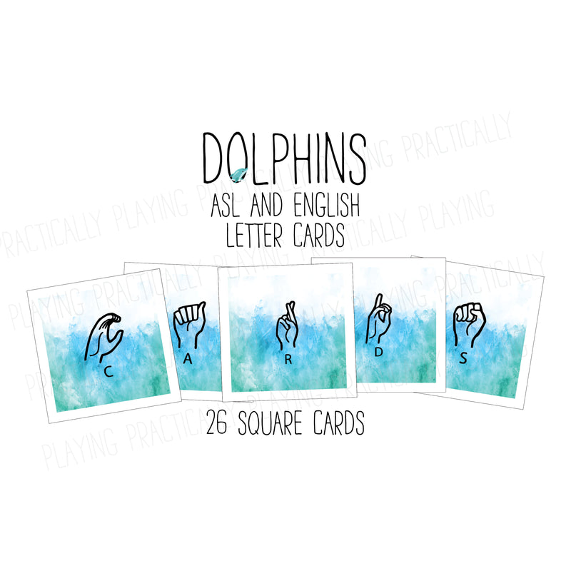Dolphins Letter Pack