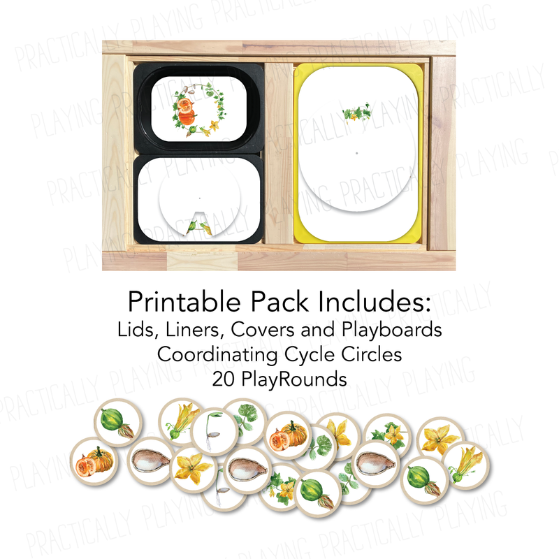Watercolor Pumpkin Life Cycle Printable Insert Pack