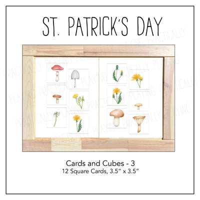St. Patrick's Leprechaun Food Cards and Cubes