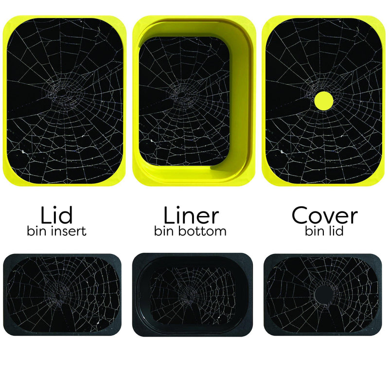 Spiderwebs Unit Study Pack (Flisat Insert Template- 10 Pack) - Practically Playing