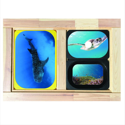 Seascapes Storyscapes Pack (Flisat Insert Template- 10 Pack) - Practically Playing