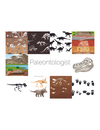 Paleontologist