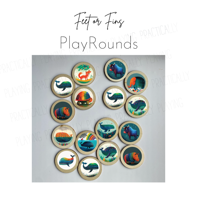 Feet or Fins PlayRound Pack