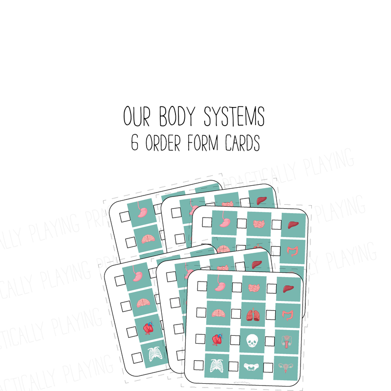 Our Body Systems PlayRound Mega Pack