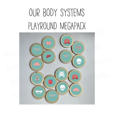 Our Body Systems PlayRound Mega Pack