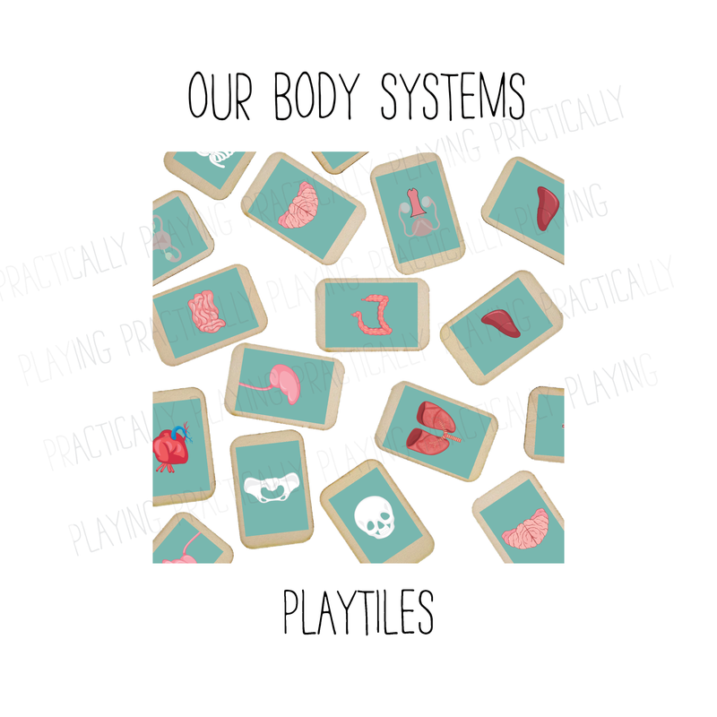 Our Body Systems PlayTile Mega Pack